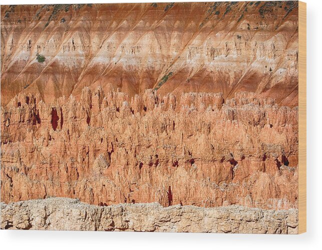 Bryce Canyon Wood Print featuring the photograph Bryce Canyon Contrast by James BO Insogna