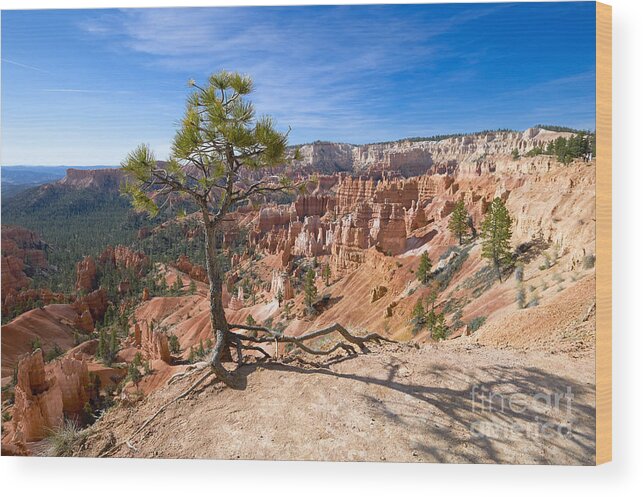 Utah Wood Print featuring the photograph Bryce Canyon by Juergen Klust