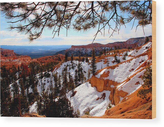 Bryce Canyon Wood Print featuring the photograph Bryce Canyon by Marti Green