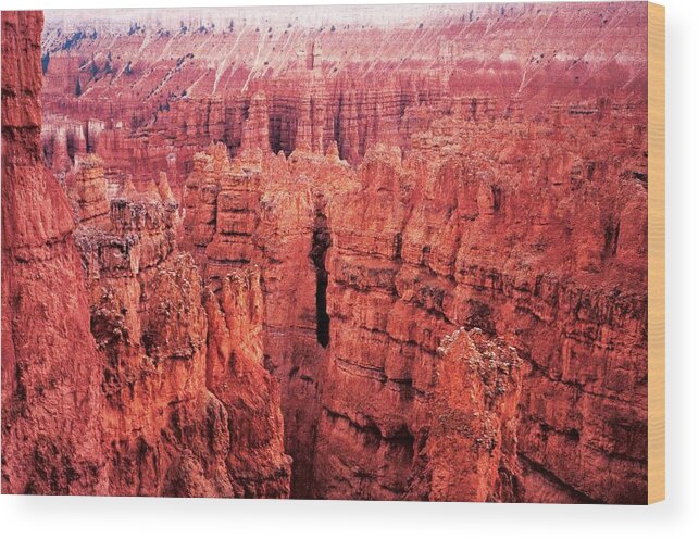 'bryce Canyon' Bryce Wood Print featuring the photograph Bryce Canyon Red by Carol Whaley Addassi