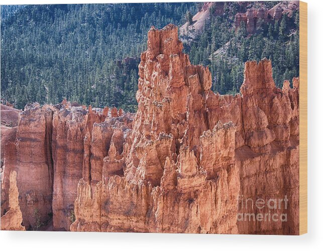 Bryce Canyon Wood Print featuring the photograph Bryce Canyon Utah Views 524 by James BO Insogna