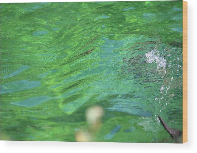 Bubbles Wood Print featuring the photograph Bubble in the pool by Denise Cicchella