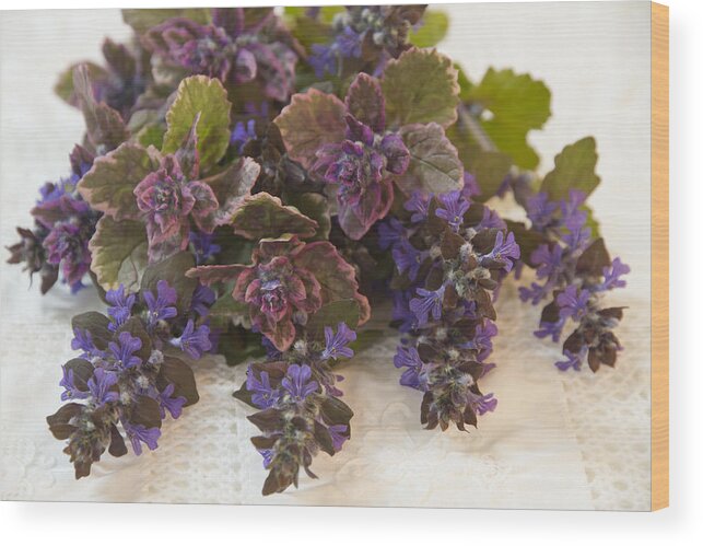 Bugleweed Blossoms Wood Print featuring the photograph Buglweed Blossoms And Leaves On Lace by Sandra Foster