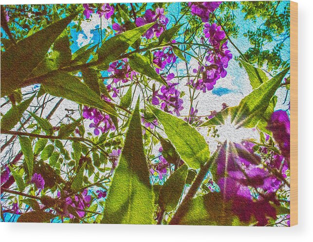 Flowers Wood Print featuring the photograph Bugs View by James Meyer
