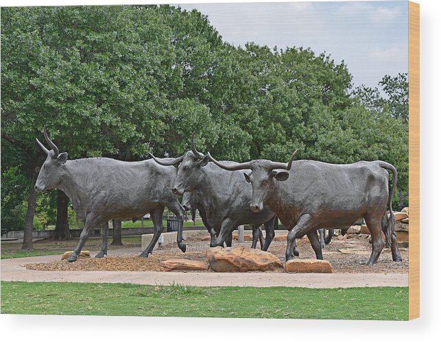 Waco Wood Print featuring the photograph Bull Market by Alexandra Till