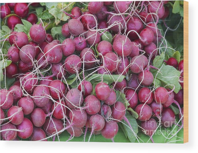 Red Wood Print featuring the photograph Bunches of Radishes by Diane Macdonald