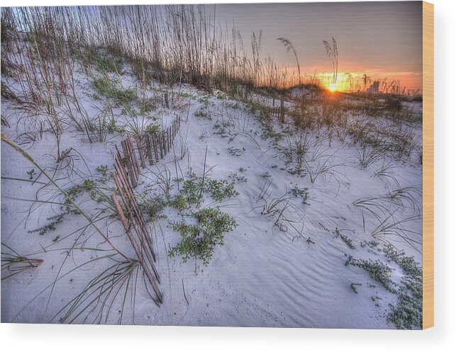 Alabama Wood Print featuring the digital art Buried Fences by Michael Thomas