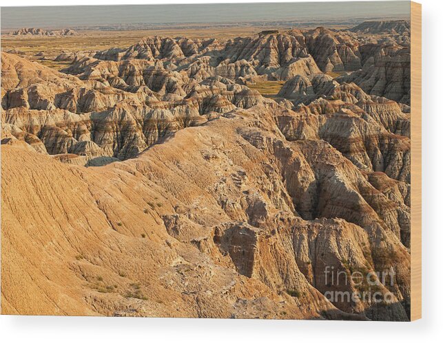 Afternoon Wood Print featuring the photograph Burns Basin Overlook Badlands National Park by Fred Stearns