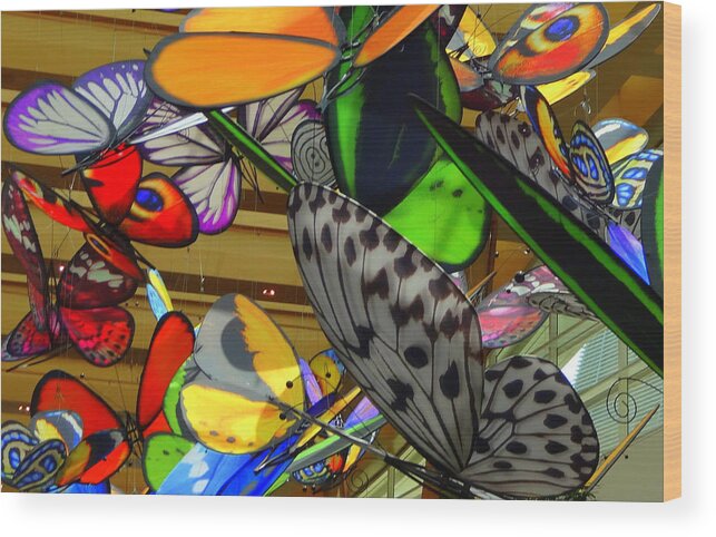 Butterflies Wood Print featuring the photograph Butterflies are Free by Donna Spadola