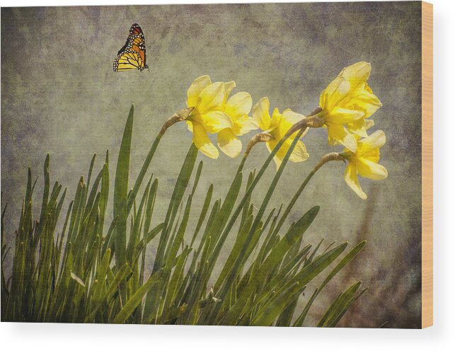 Flowers Wood Print featuring the photograph Butterfly and Daffodils by Cathy Kovarik