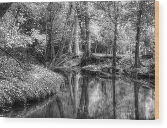 Autumn Wood Print featuring the photograph Butternut Creek Autumn in Black and White by Greg and Chrystal Mimbs