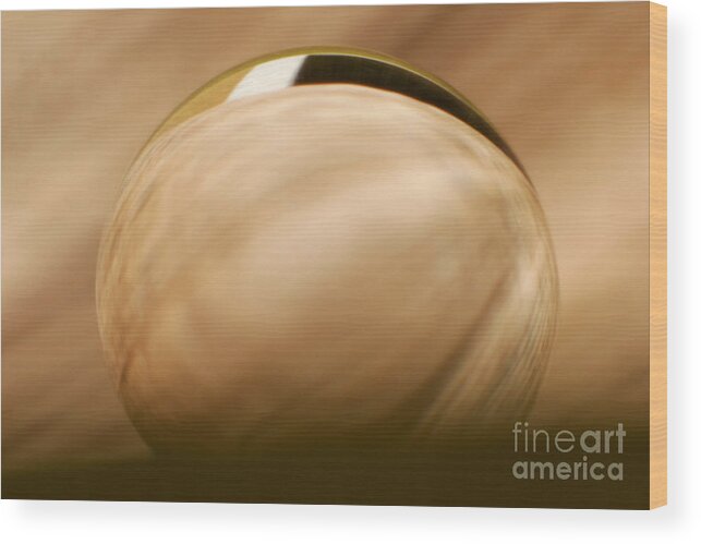 Raindrop Wood Print featuring the photograph C Ribet Orbscape 1000 by C Ribet