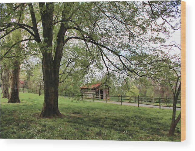 Park Wood Print featuring the photograph Cabin House 04 by Carlos Diaz