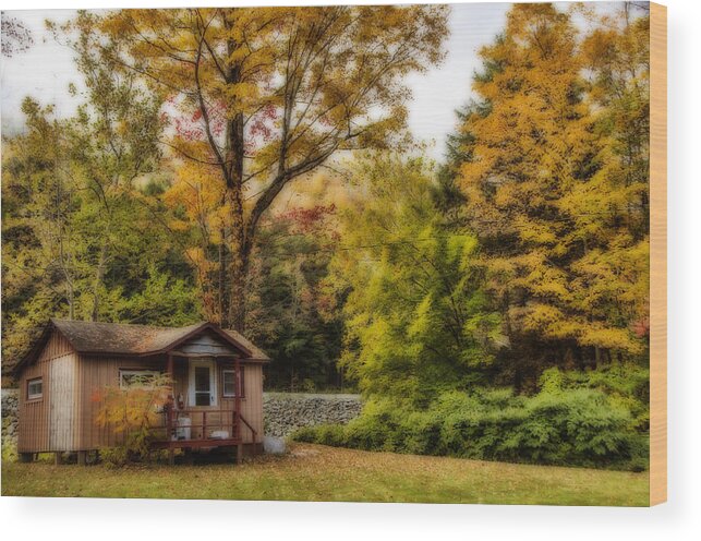 Cabin Wood Print featuring the photograph Cabin On The River by Cathy Kovarik