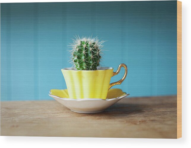 Risk Wood Print featuring the photograph Cactus Growing In Teacup On Desk by Ian Nolan