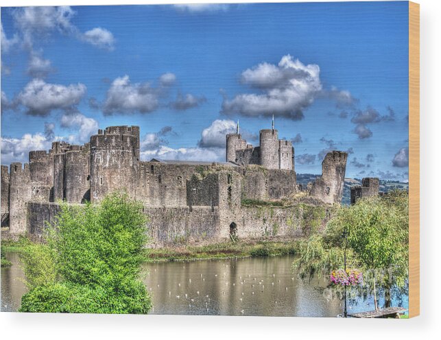 Caerphilly Castle Wood Print featuring the photograph Caerphilly Castle 4 by Steve Purnell