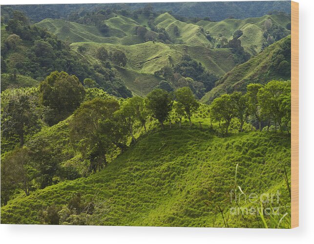 Heiko Wood Print featuring the photograph Caizan Hills by Heiko Koehrer-Wagner