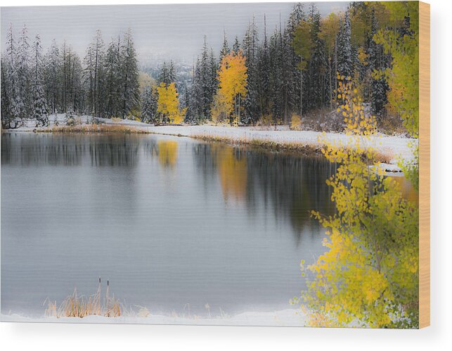Pond Wood Print featuring the photograph Calm by Chuck Jason