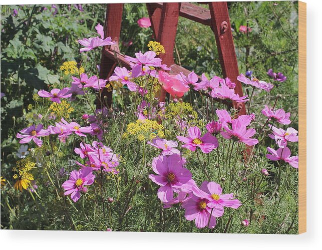Landscapes Wood Print featuring the photograph Cambria Garden 2 by Douglas Miller