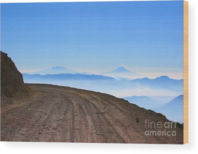 Toluca Wood Print featuring the photograph Camino en Volcan Nevado de Toluca by Francisco Pulido
