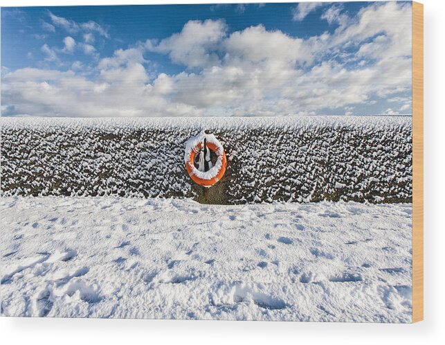 Snow Wood Print featuring the photograph Can you drown in snow? by Nigel R Bell