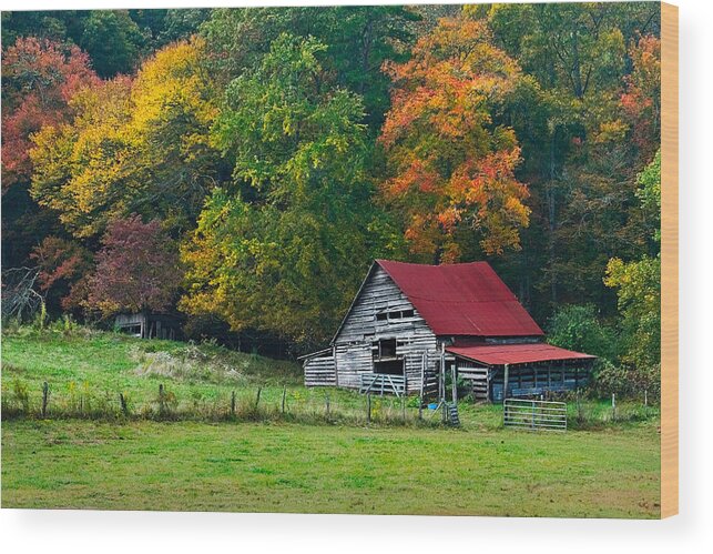 Appalachia Wood Print featuring the photograph Candy Mountain by Debra and Dave Vanderlaan