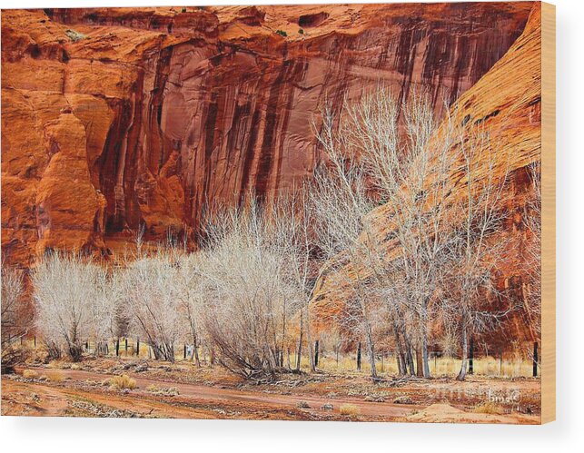Canyons Wood Print featuring the photograph Canyon de Chelly - Spring II by Barbara Zahno