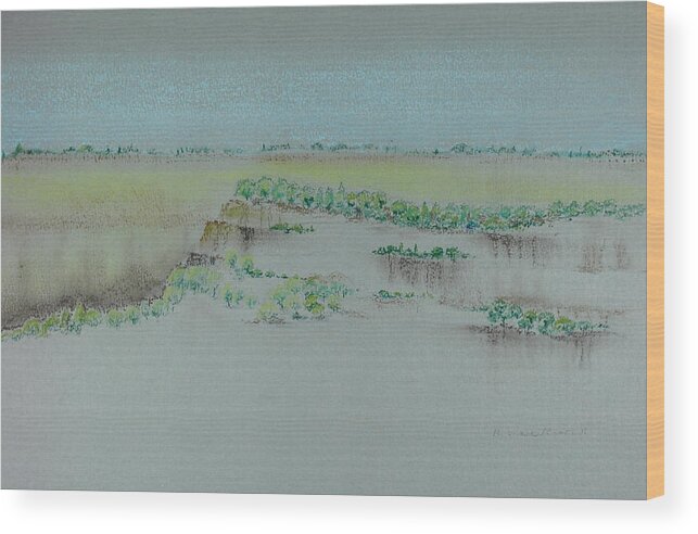 Canyon Wood Print featuring the pastel Canyon View by Michele Myers