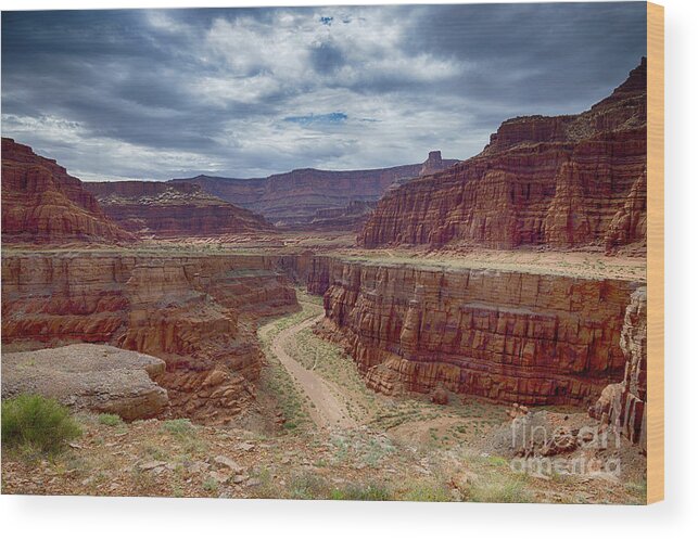 Canyonlands Wood Print featuring the photograph Canyonlands by Juergen Klust