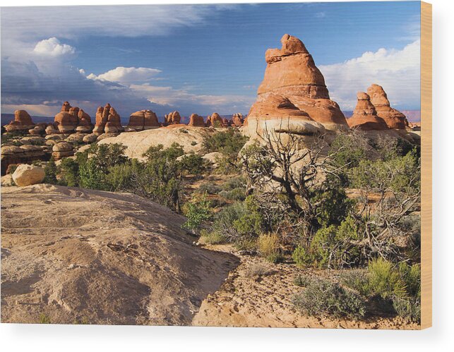 Canyonlands Wood Print featuring the photograph Canyonlands National Park by Adam Jewell