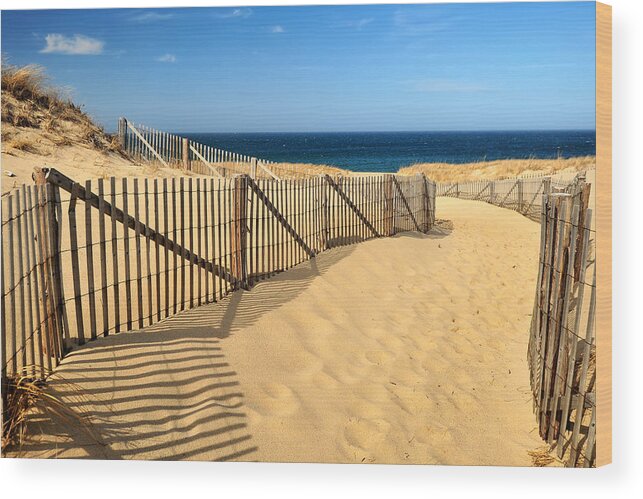 The World's Best Wood Print featuring the photograph Cape Cod Beach by Mitchell R Grosky
