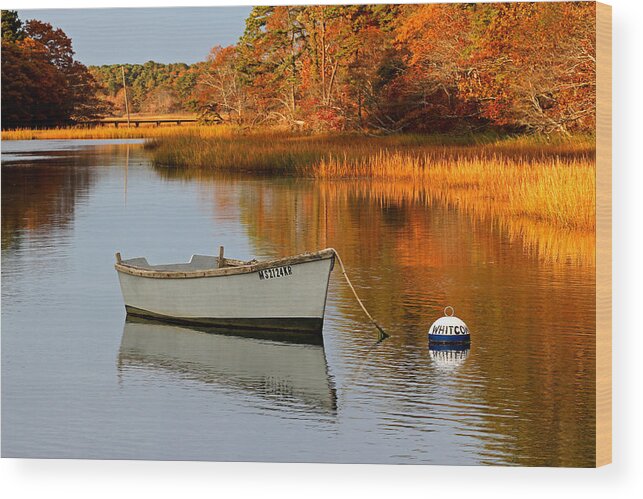 Cape Cod Wood Print featuring the photograph Cape Cod Fall Foliage by Juergen Roth