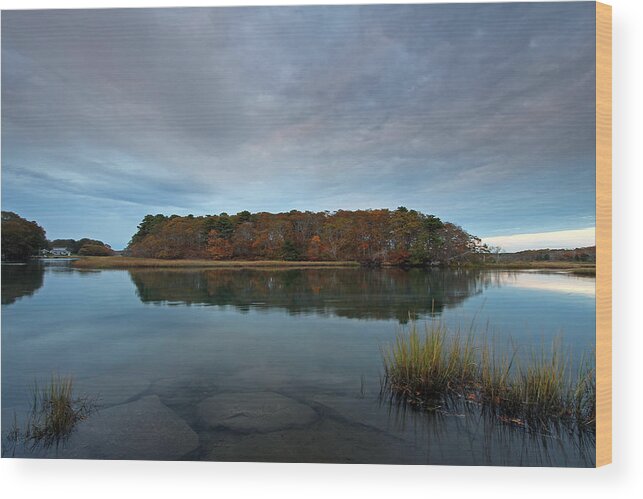 Fall Wood Print featuring the photograph Cape Cod by Juergen Roth