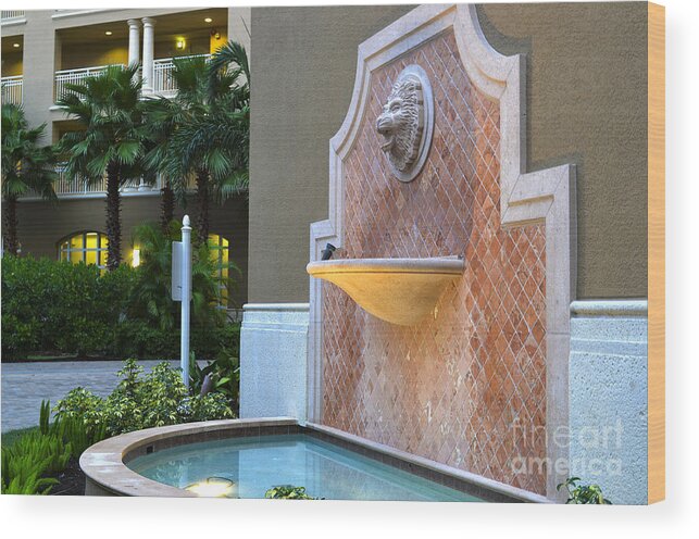 Cape Coral Wood Print featuring the photograph Cape Coral Florida fountain by Timothy Lowry