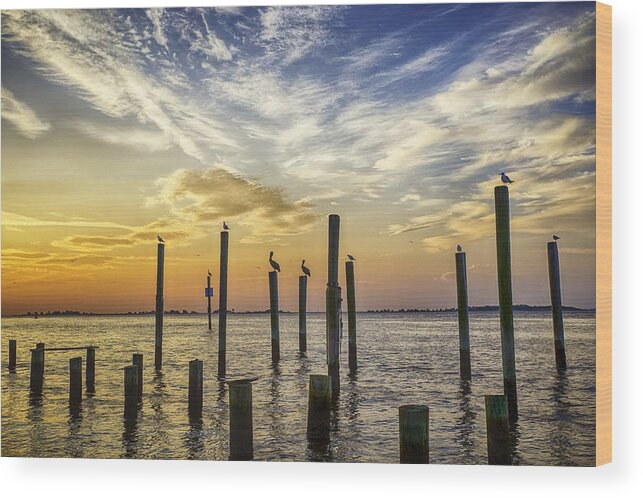 Southport Wood Print featuring the photograph Cape Fear Sunrise by Nick Noble