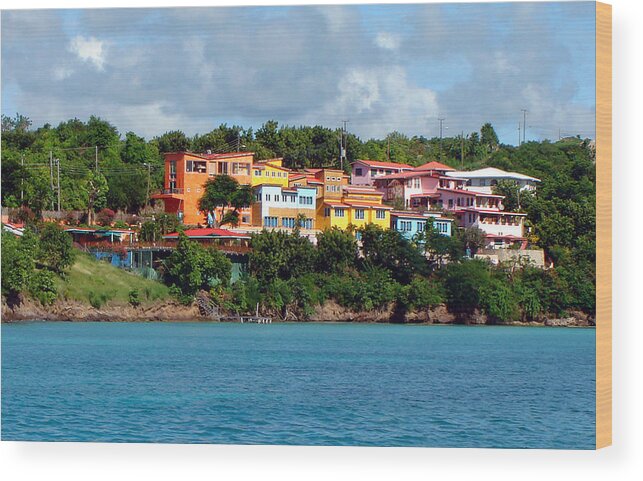 Grenada Wood Print featuring the photograph Caribbean Colors by Donna Proctor