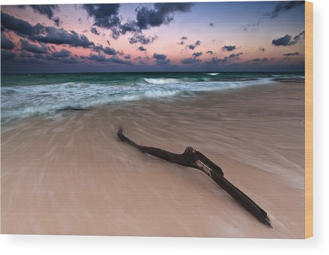 Sunset Wood Print featuring the photograph Caribbean Sunset by Mihai Andritoiu