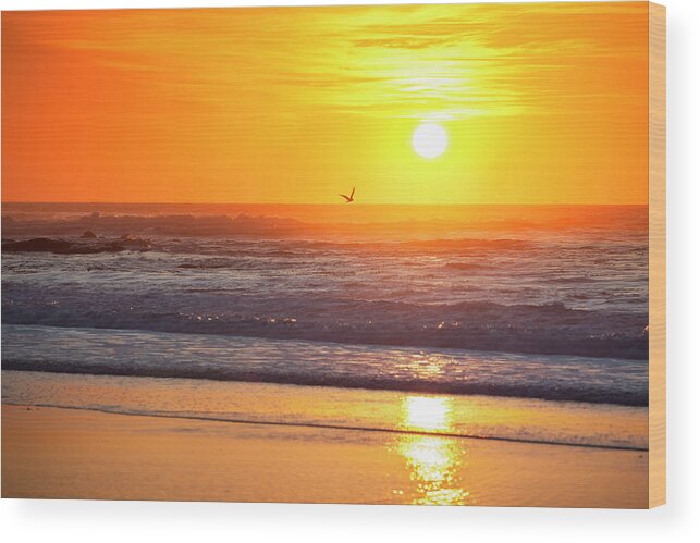 Scenics Wood Print featuring the photograph Carmel Beach In Carmel-by-the-sea by Pgiam