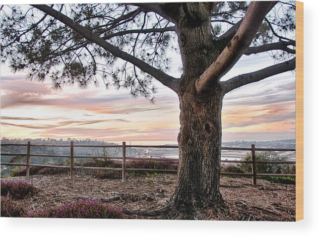 Del Mar Wood Print featuring the photograph Carmel Valley Sunset View - San Diego - California by Bruce Friedman