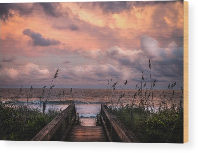 Beaches Wood Print featuring the photograph Carolina Dreams by Karen Wiles