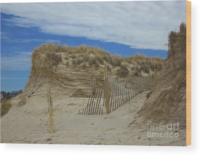 Dunes Wood Print featuring the photograph Carved Dunes by Amazing Jules