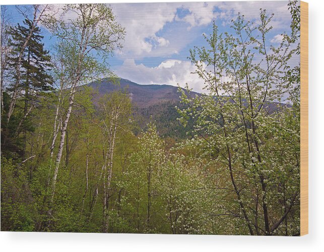 Photography Wood Print featuring the photograph Cascade Mountain Viewed Through Spring by Panoramic Images