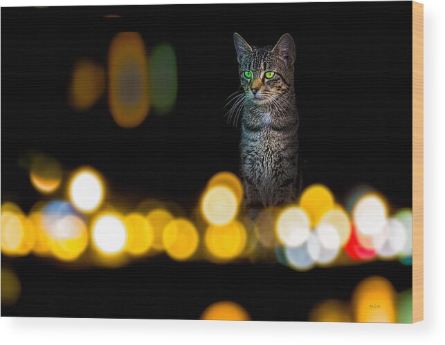 Cat Wood Print featuring the photograph Cat In The Window Color Version by Bob Orsillo
