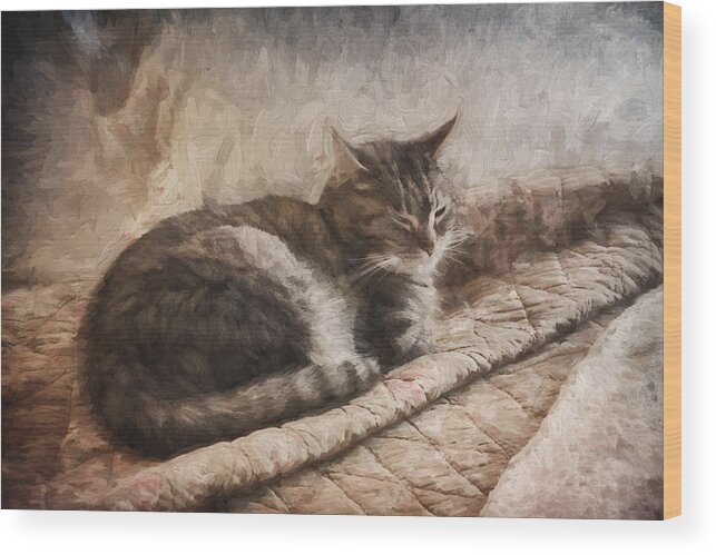 Cat Wood Print featuring the digital art Cat on the Bed Painterly by Carol Leigh