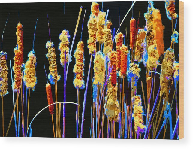 Beautiful Wood Print featuring the mixed media Cattail Colors by Brian Stevens