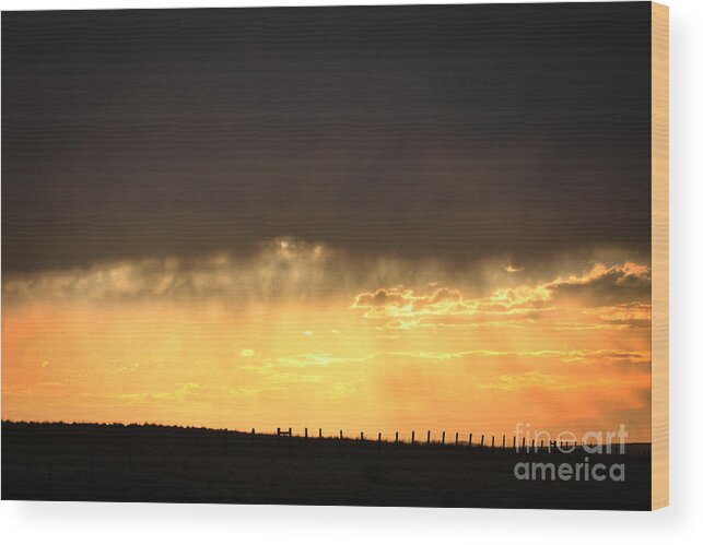 Cattle Ranch Wood Print featuring the photograph Cattle Fence at Sunset by Kate Purdy