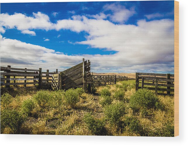 Landscape Wood Print featuring the photograph Cattle Loader by Bruce Bottomley