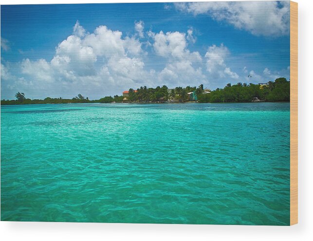 Caulker Cay Wood Print featuring the photograph Caulker Cay Belize by Kristina Deane