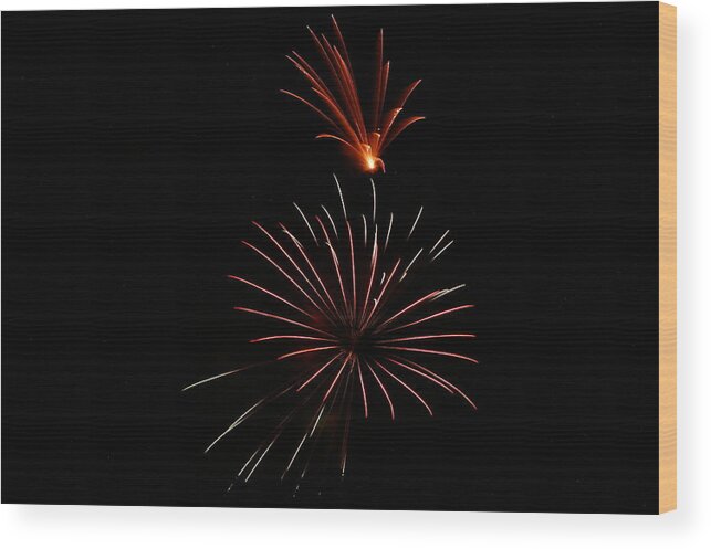 Fireworks Wood Print featuring the photograph Celebration XL by Pablo Rosales