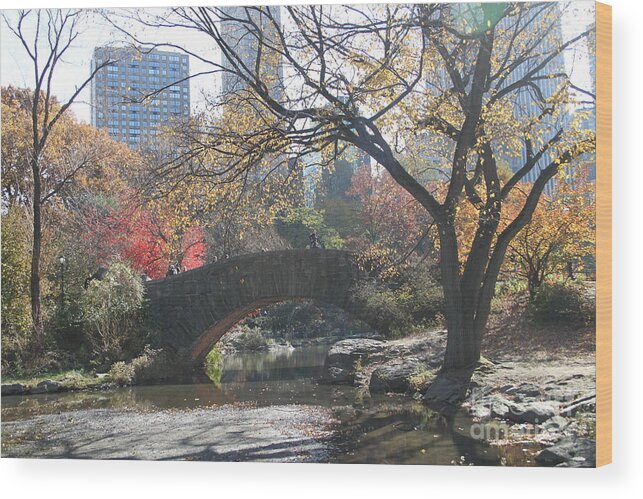 Central Park Wood Print featuring the digital art Central Park in the Fall-3 by Steven Spak